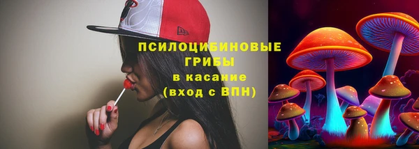 спиды Армянск