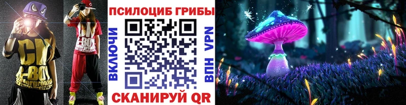 Псилоцибиновые грибы Psilocybine cubensis  где купить наркоту  Тихвин 