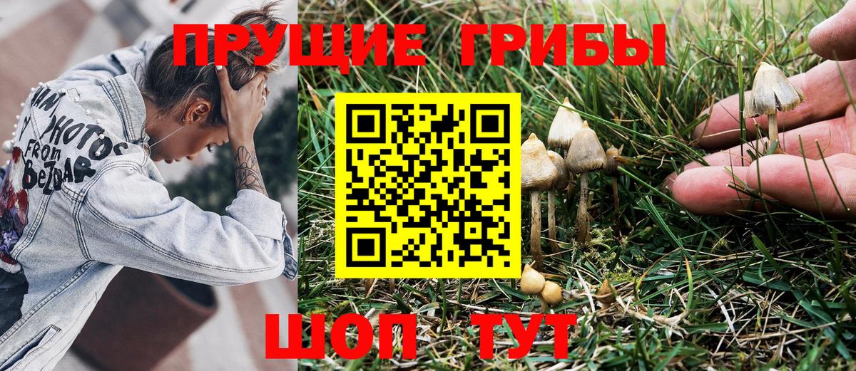 Галлюциногенные грибы прущие грибы Тихвин
