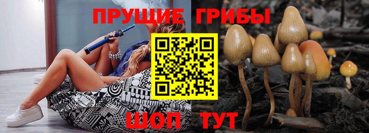 Галлюциногенные грибы Psilocybine cubensis  Вход с VPN  Псилоцибиновые грибы MAGIC MUSHROOMS  Тихвин 